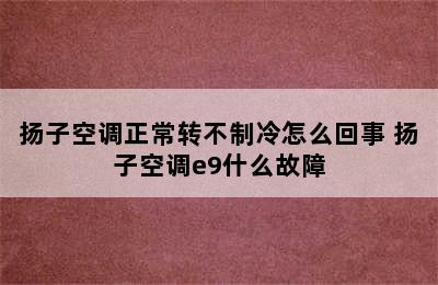 扬子空调正常转不制冷怎么回事 扬子空调e9什么故障